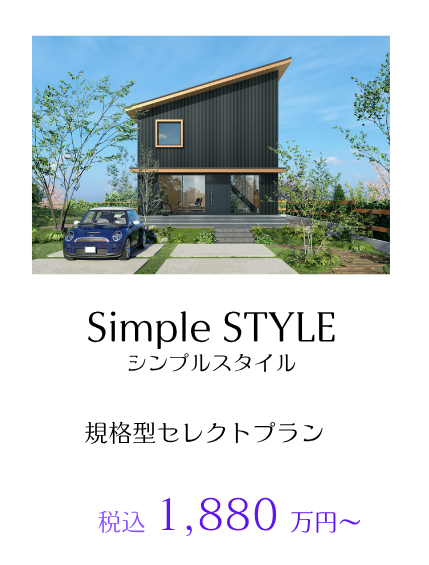 SIMPLE STYLE